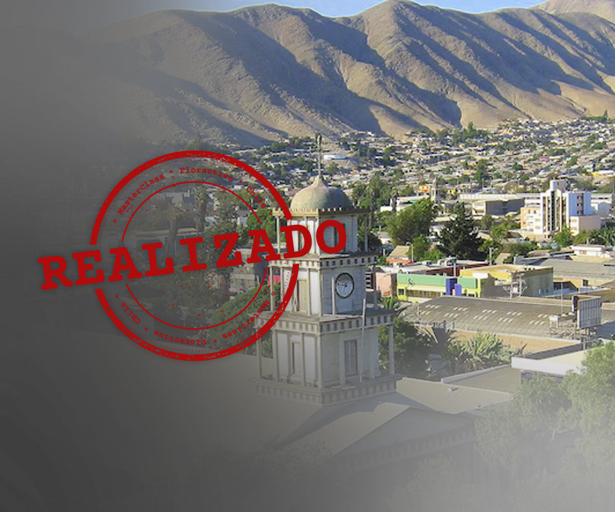 Premium Training Copiapó 12 de Febrero