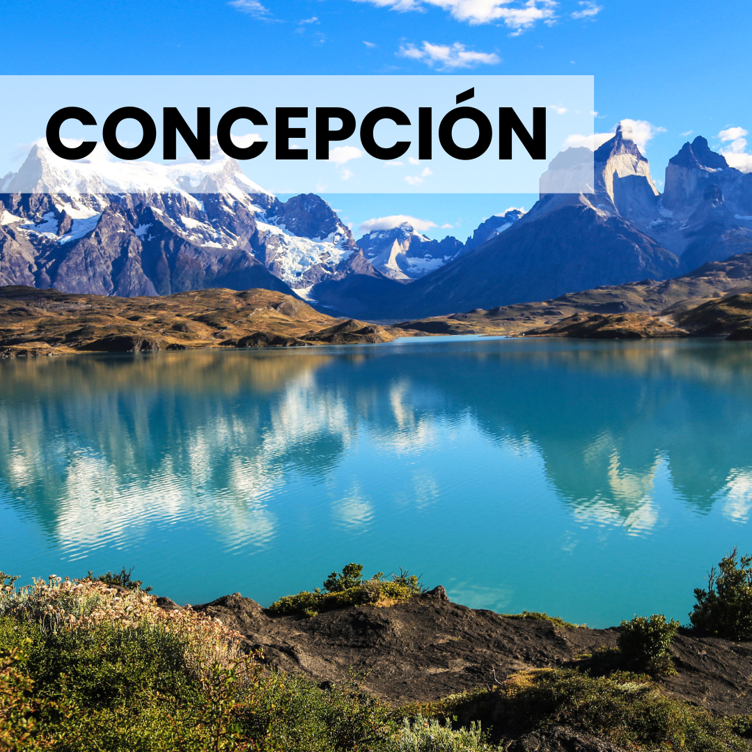 Capacitación Concepción 15 de Junio